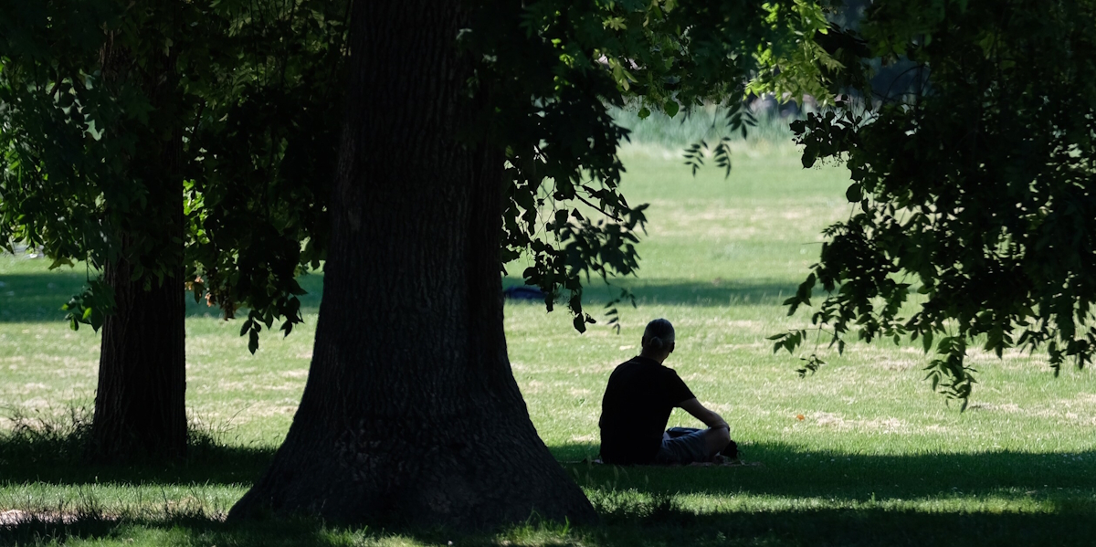Ein Mann sitzt unter einem Baum im Schatten.