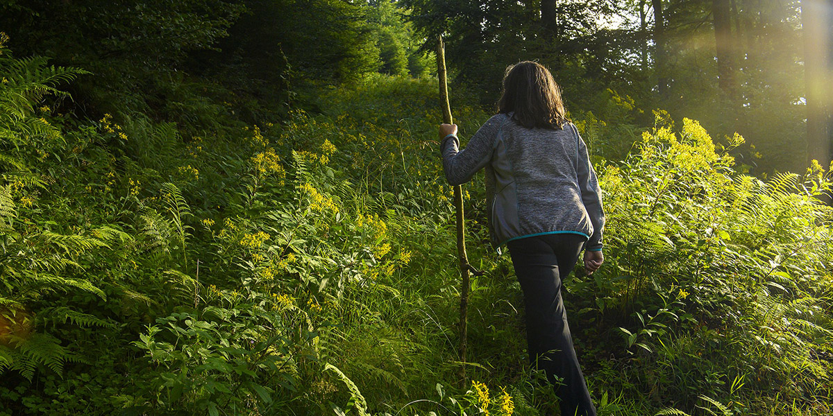 Frau mit Wanderstab beim Wandern im Wald