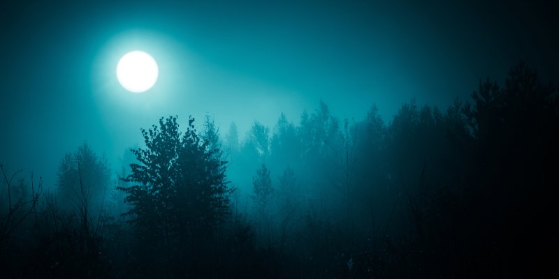Vollmond über einem dunklen Wald.